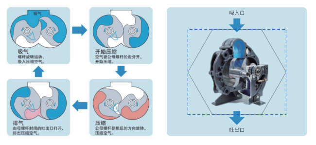 无油空压机 无油空压机